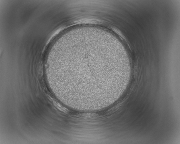 X0000080161067200701051559