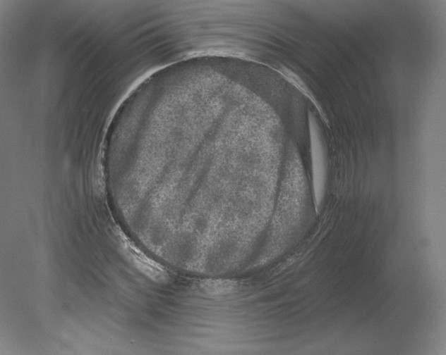 X0000080161068200701051559