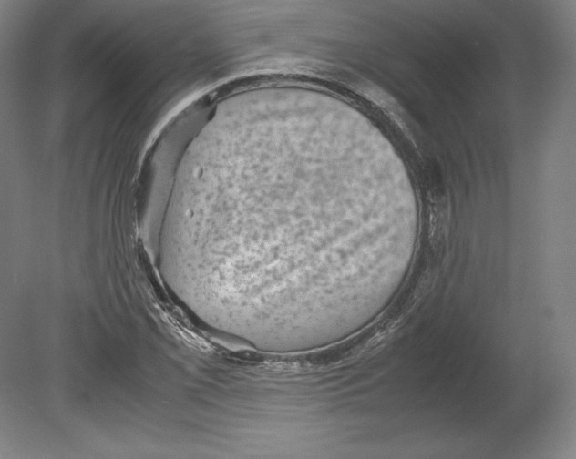 X0000080161069200701051559