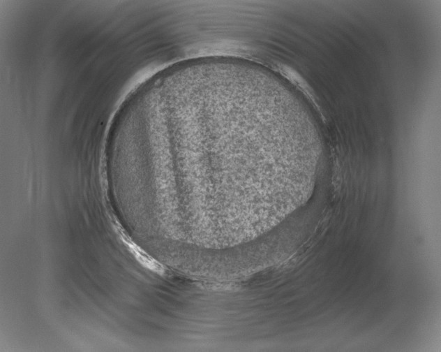 X0000080161072200701051559