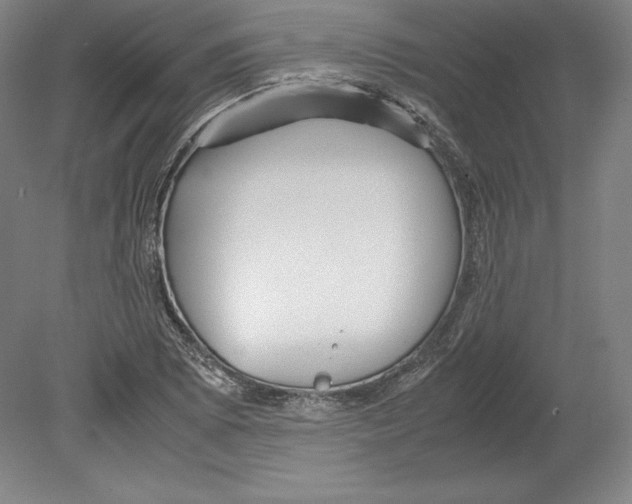 X0000080161073200701051559