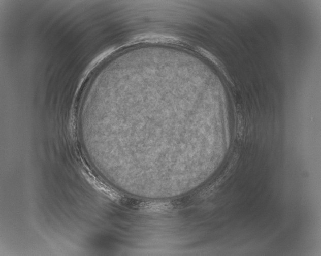 X0000080161074200701051559