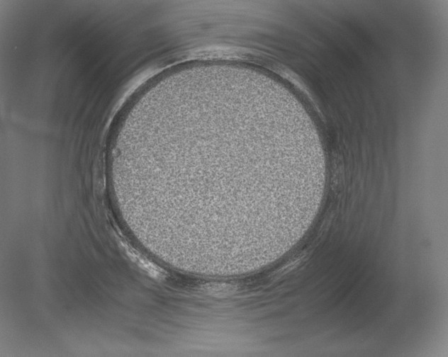 X0000080161075200701051559