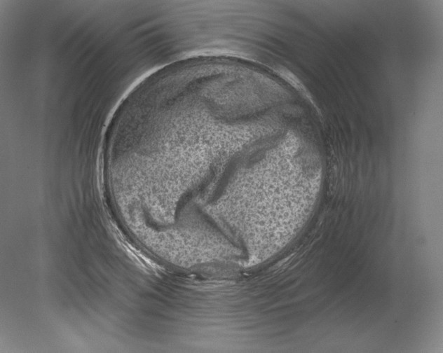 X0000080161076200701051559