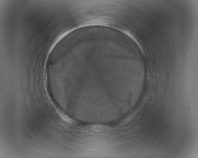 X0000080161077200701051559