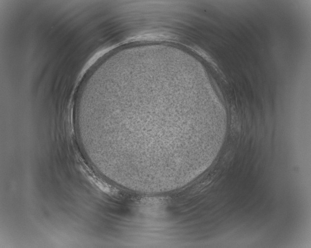 X0000080161078200701051559