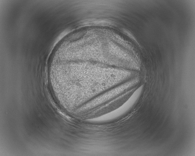 X0000080161079200701051559