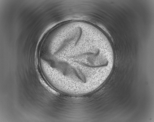 X0000080161080200701051559