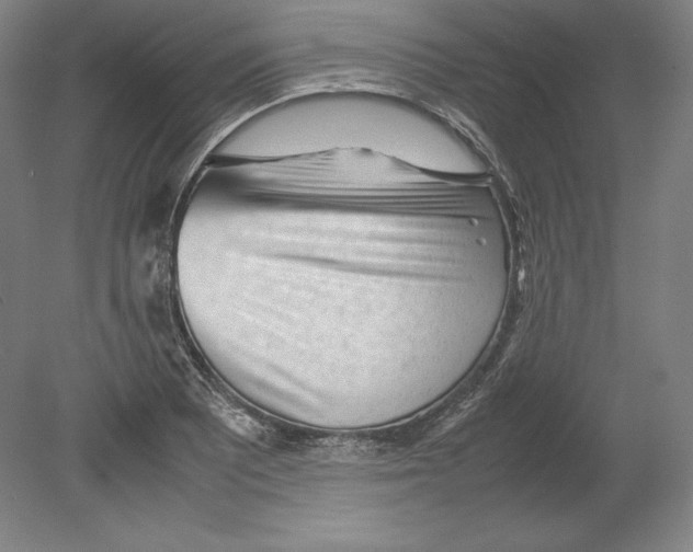 X0000080161081200701051559