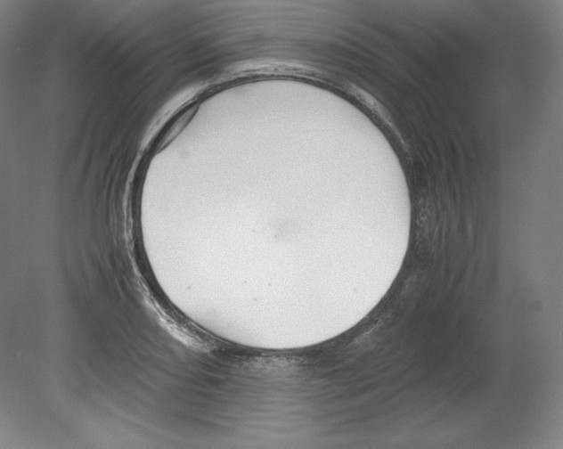 X0000080161082200701051559