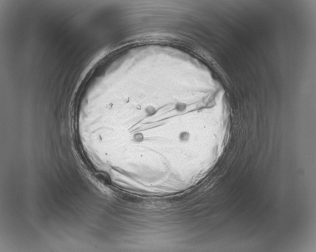 X0000080161083200701051559