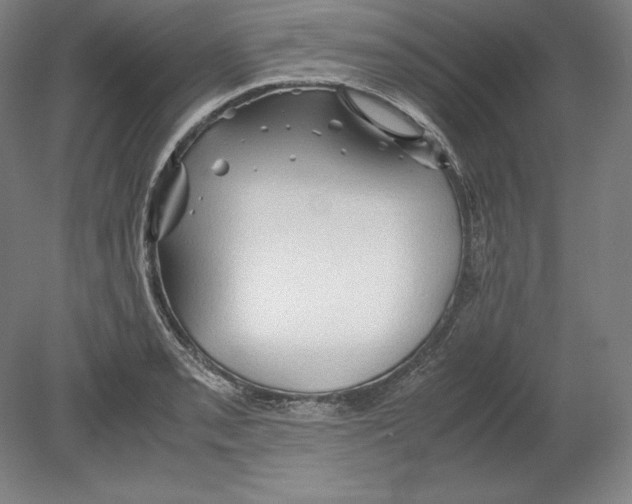 X0000080161085200701051559