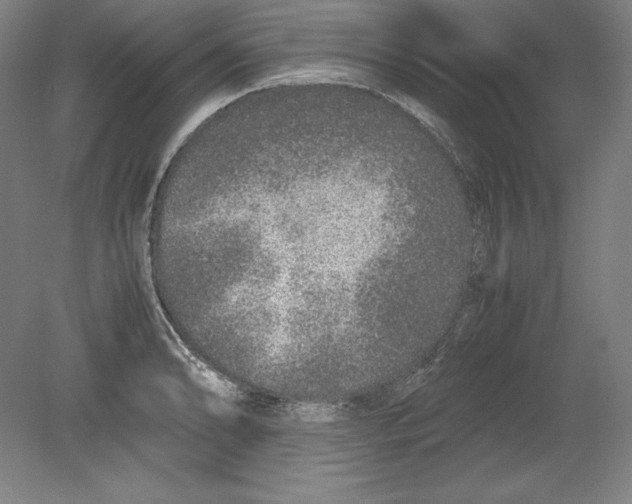 X0000080161086200701051559