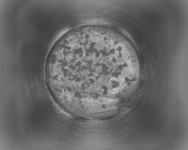 X0000080161087200701051559