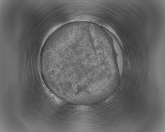 X0000080161088200701051559