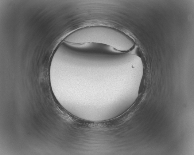 X0000080161089200701051559