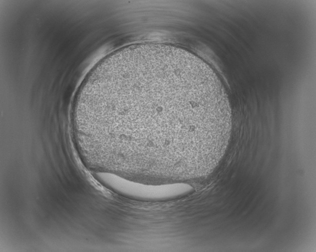 X0000080161091200701051559