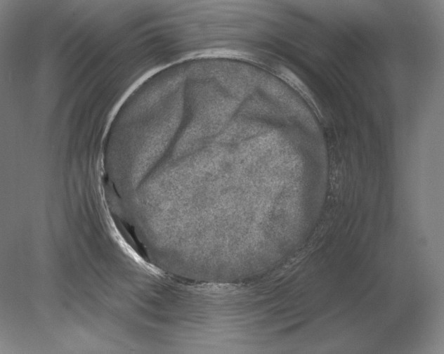 X0000080161092200701051559