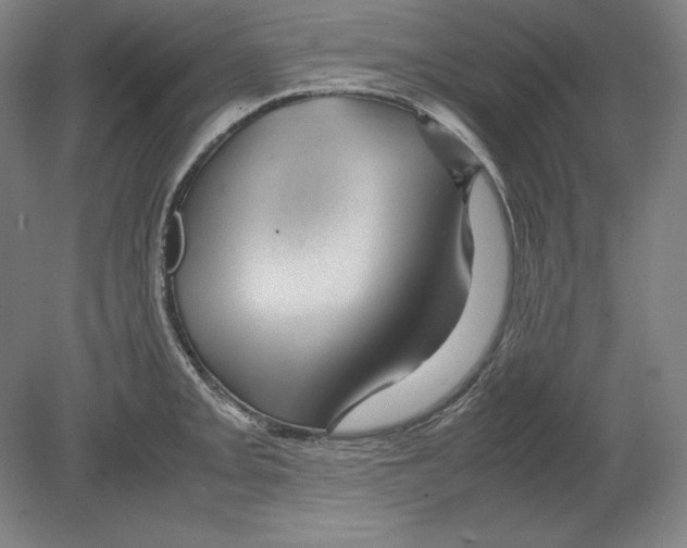 X0000080161093200701051559