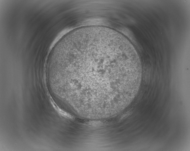 X0000080161094200701051559