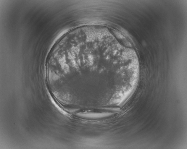 X0000080161095200701051559