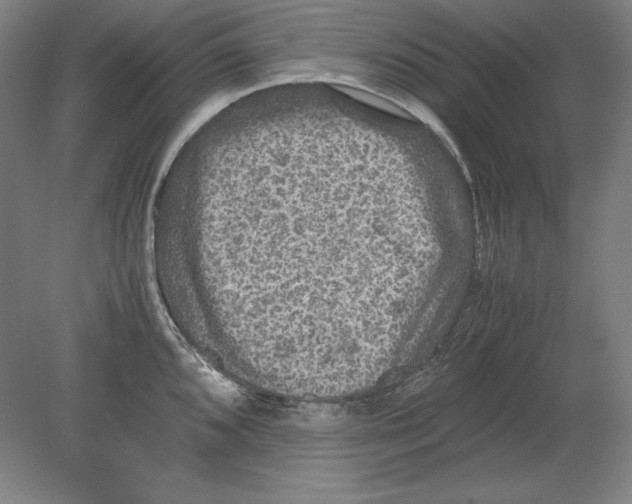 X0000080161096200701051559