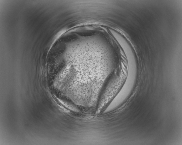 X0000080161097200701051559