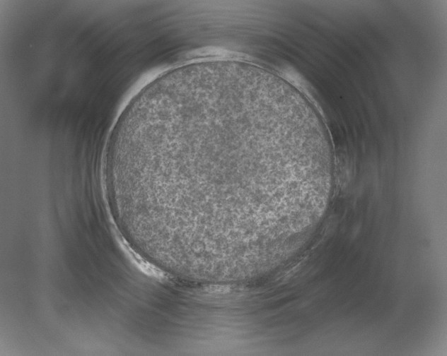 X0000080161098200701051559