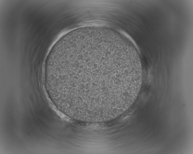 X0000080161099200701051559