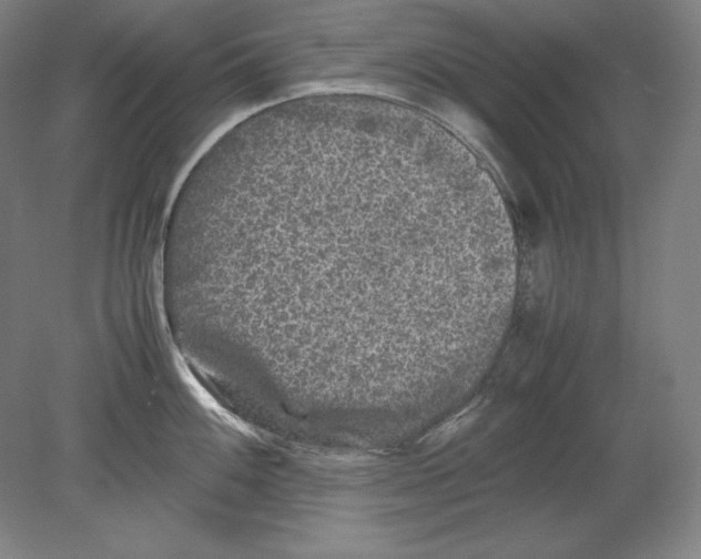 X0000080161100200701051559