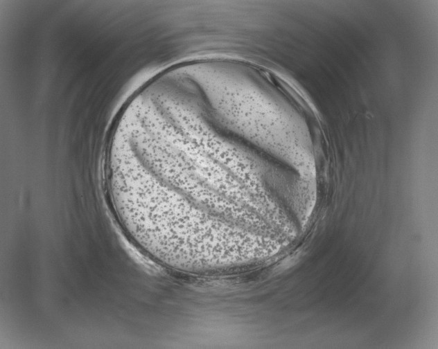 X0000080161101200701051559