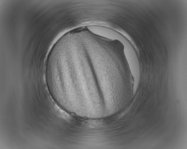 X0000080161102200701051559