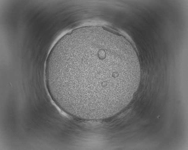 X0000080161103200701051559