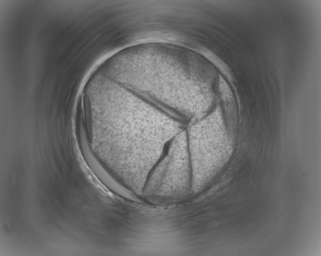 X0000080161104200701051559