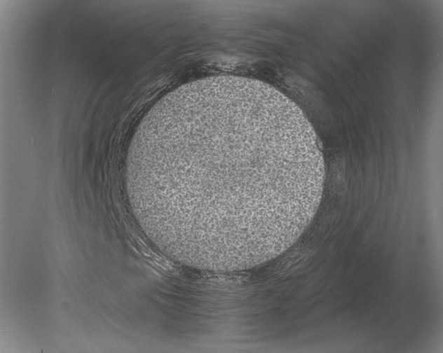 X0000080161105200701051558