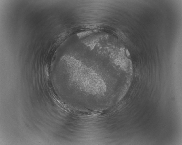 X0000080161106200701051558