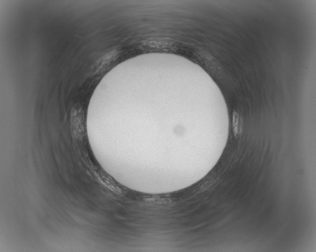 X0000080161107200701051558