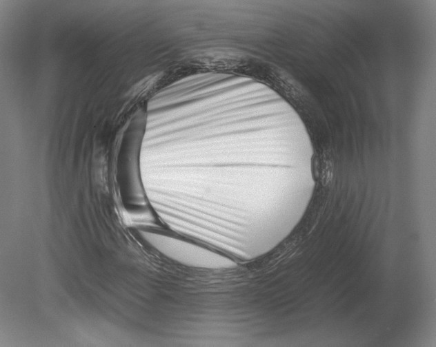 X0000080161108200701051558