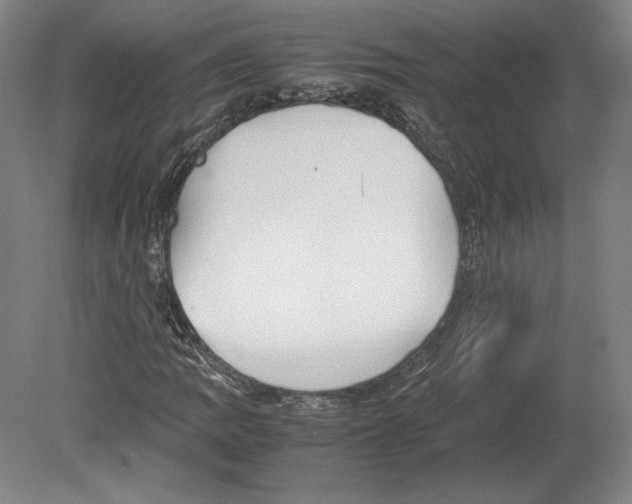 X0000080161109200701051558