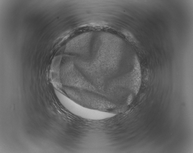 X0000080161110200701051558