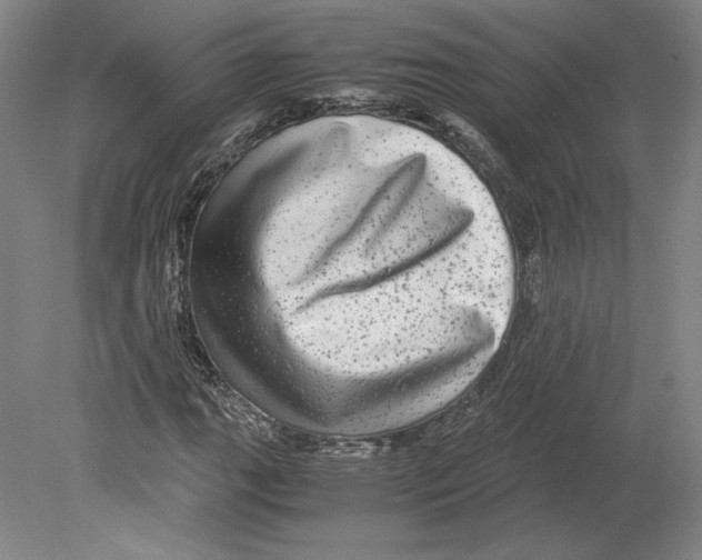 X0000080161111200701051558