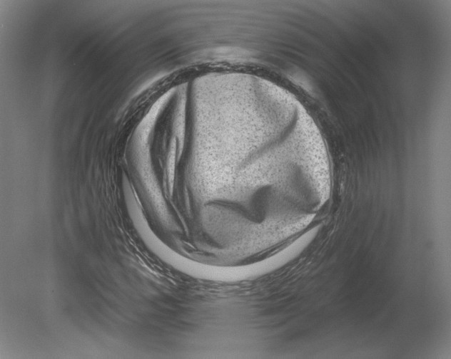 X0000080161112200701051558