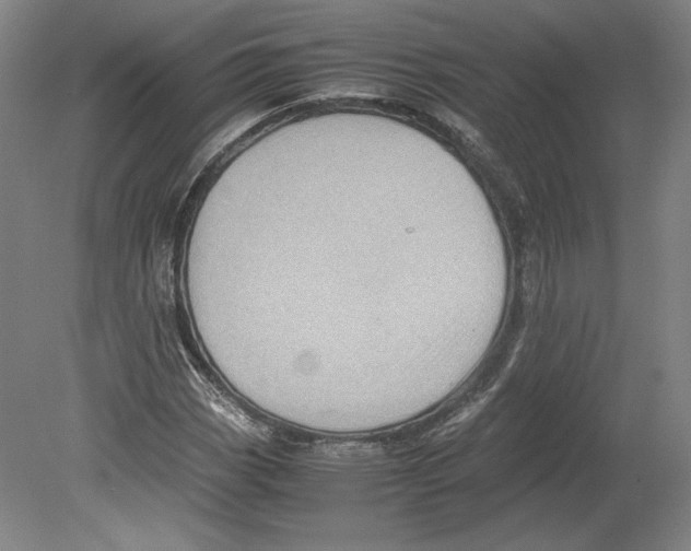 X0000080161113200701051558