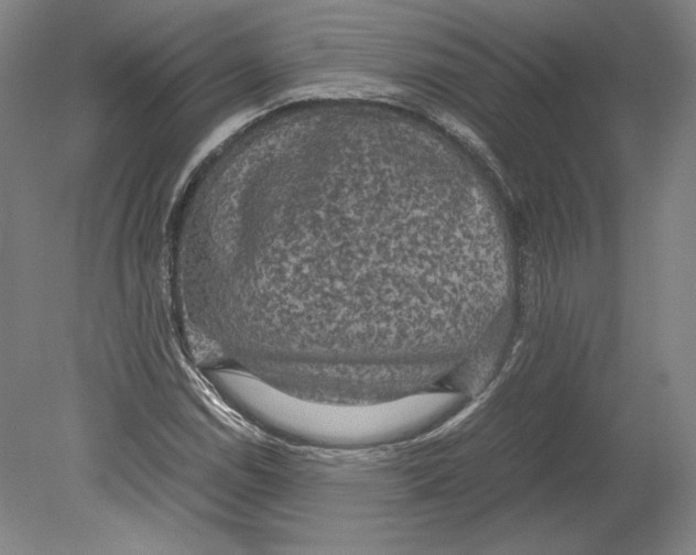 X0000080161114200701051558