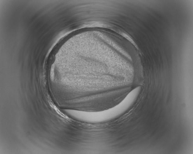 X0000080161116200701051558