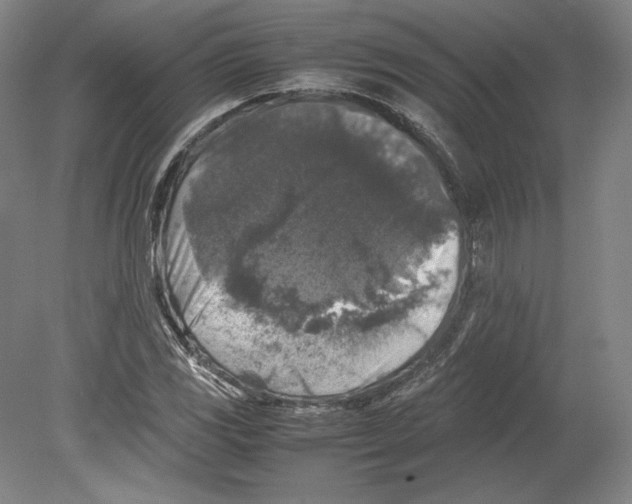 X0000080161117200701051558