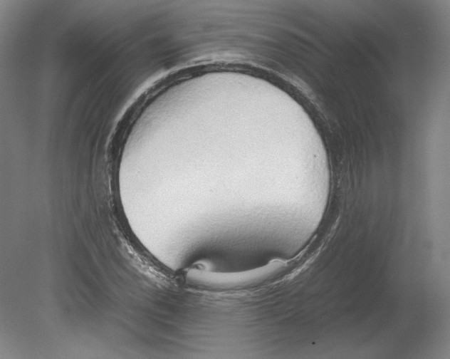 X0000080161118200701051558