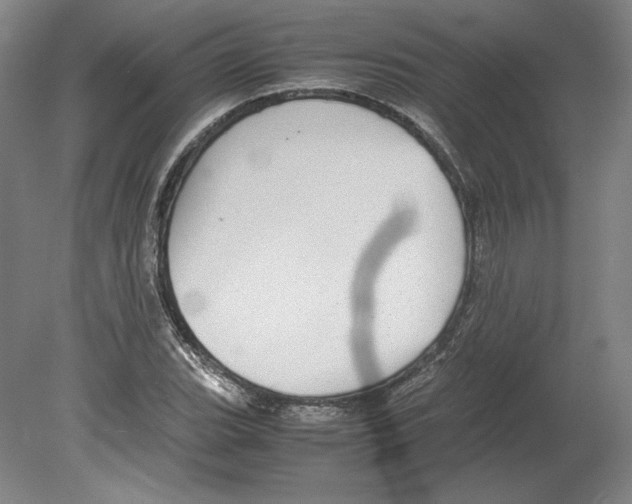 X0000080161119200701051558