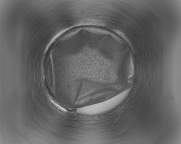 X0000080161120200701051558