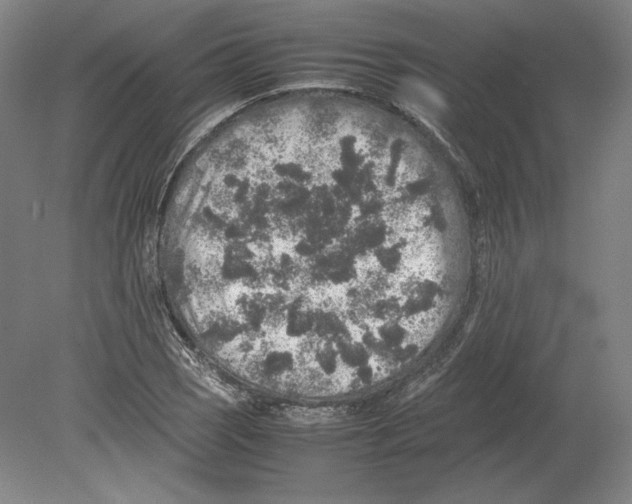 X0000080161121200701051558